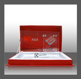 BCI Asia Top 10 Developers Awards 2012