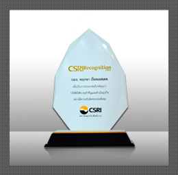 CSRI Recognition ประจำปี 2556