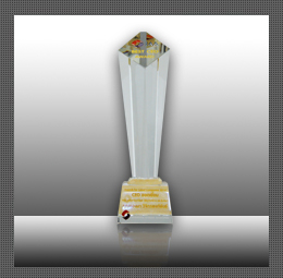 Sustainability Report Award 2015